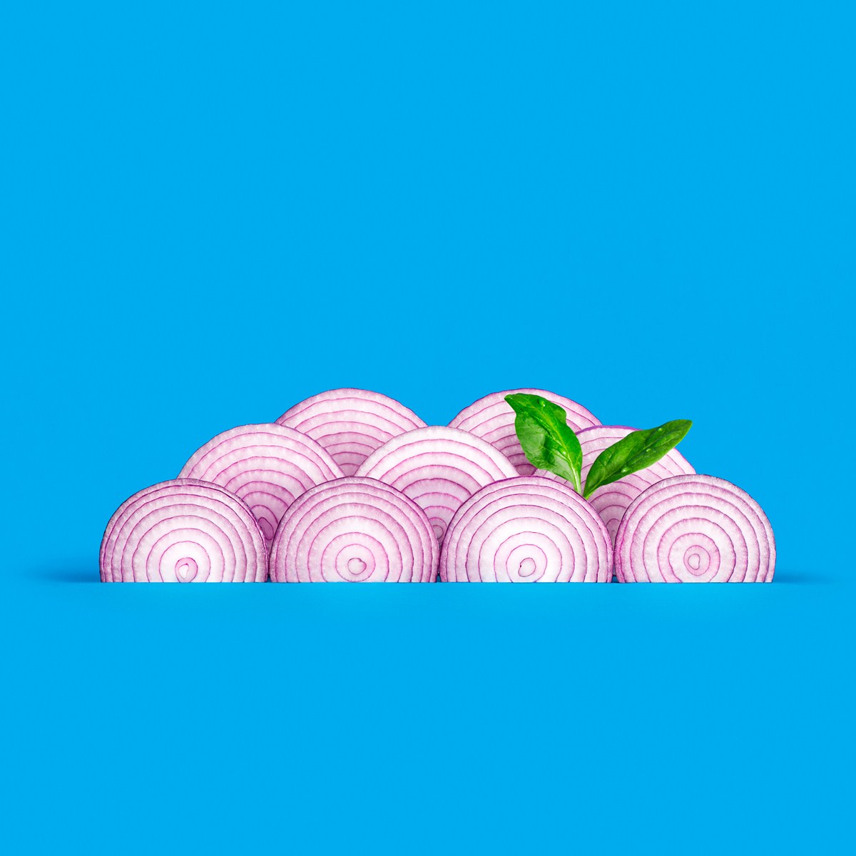 Subway食物创意摄影