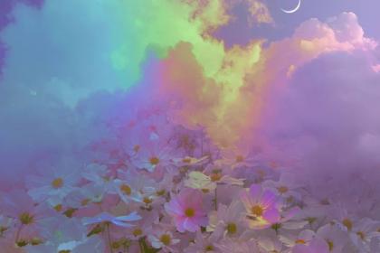 虚幻与现实