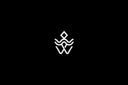 Driftwood木制吉他品牌logo设计及视觉VI设计 